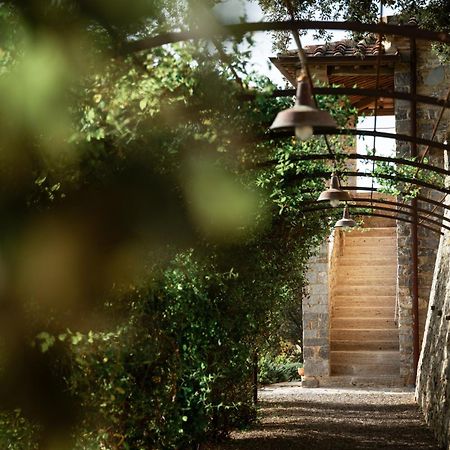 Tenuta Castelgiocondo Μονταλτσίνο Εξωτερικό φωτογραφία